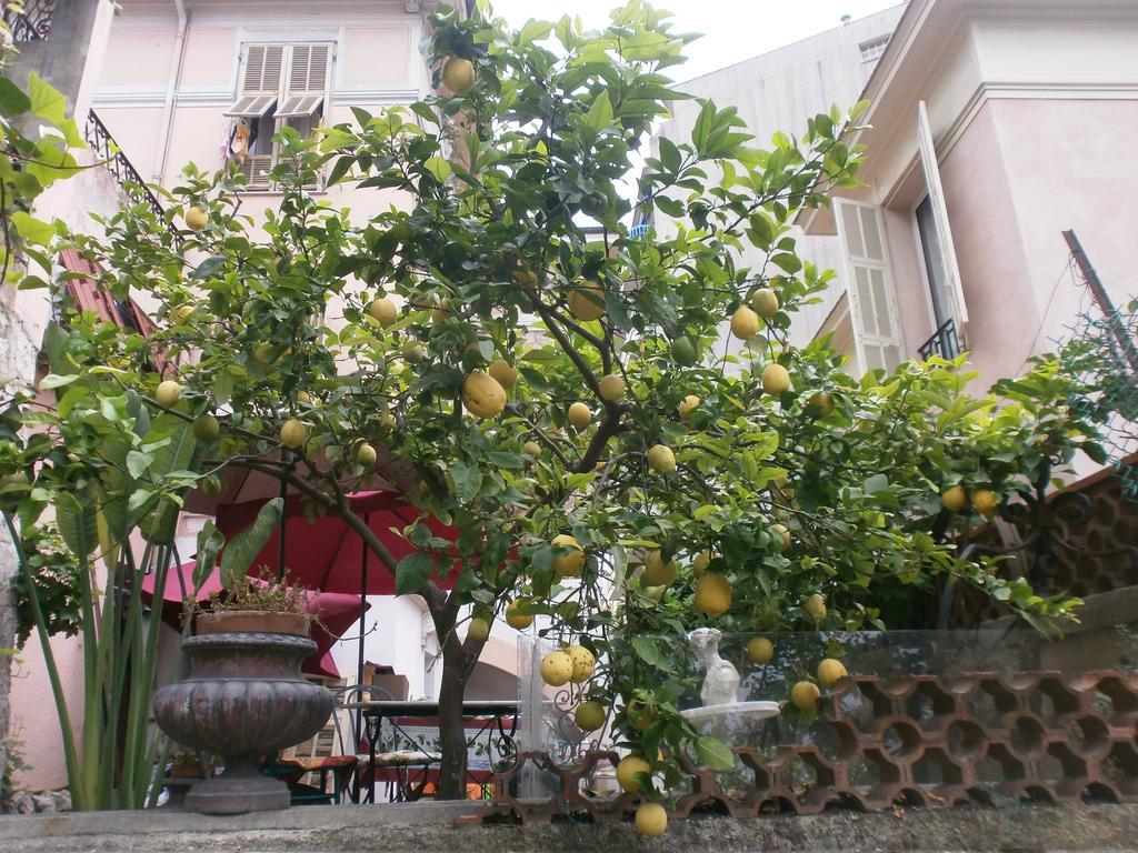 Villa Saphir Nice Buitenkant foto